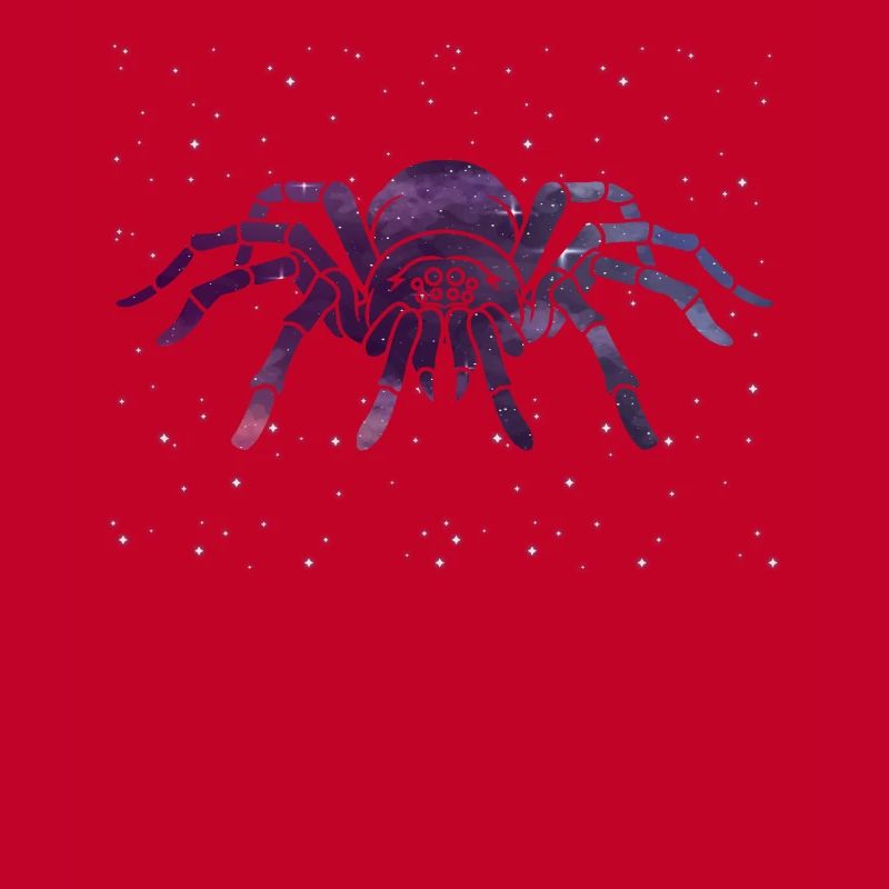 Celestial Spider Star Pattern