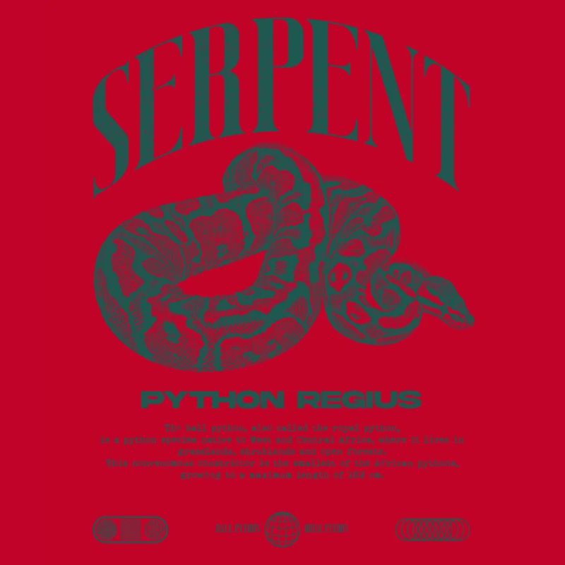 Ball Python Moderne Reptilienwärter Streetwear