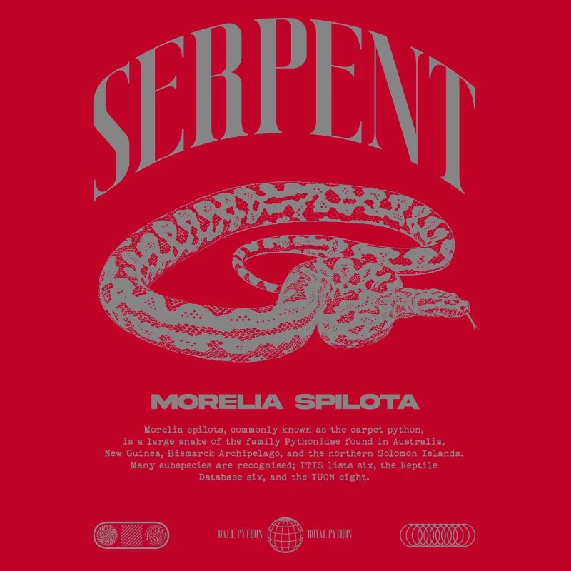 Teppich Python Moderne Reptile Keeper Streetwear