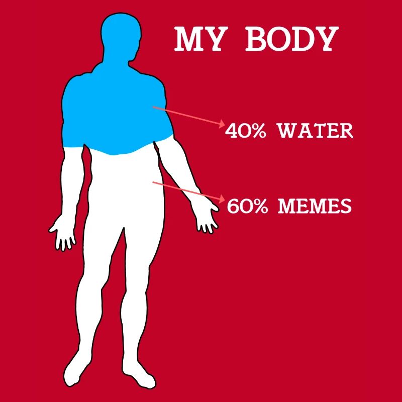 Funny Meme Mon Corps 40% Eau 60% Memes