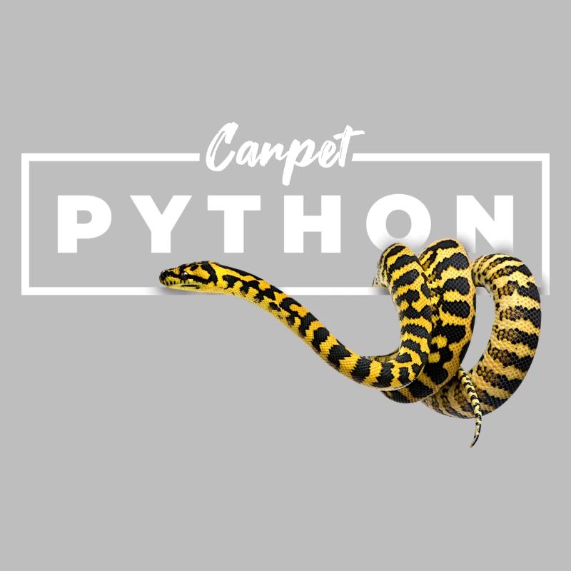 Carpet Python Geometric Reptile Owner