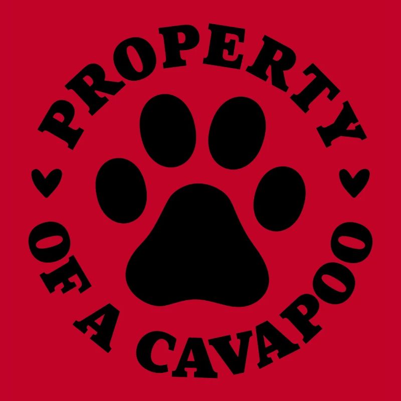 Eigentum eines Cavapoo