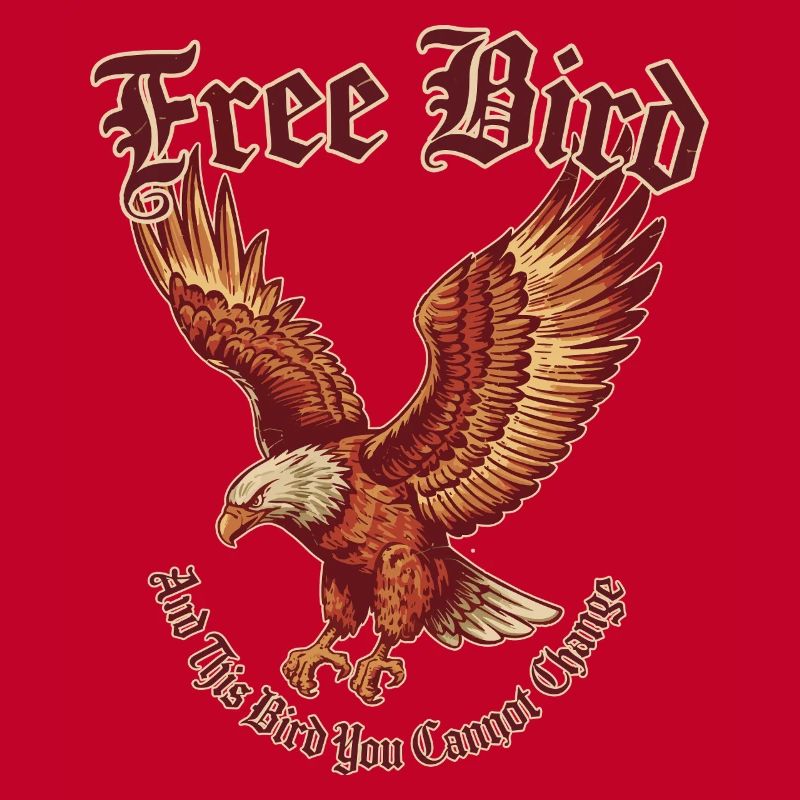 Oiseau libre | Soaring Eagle et rock