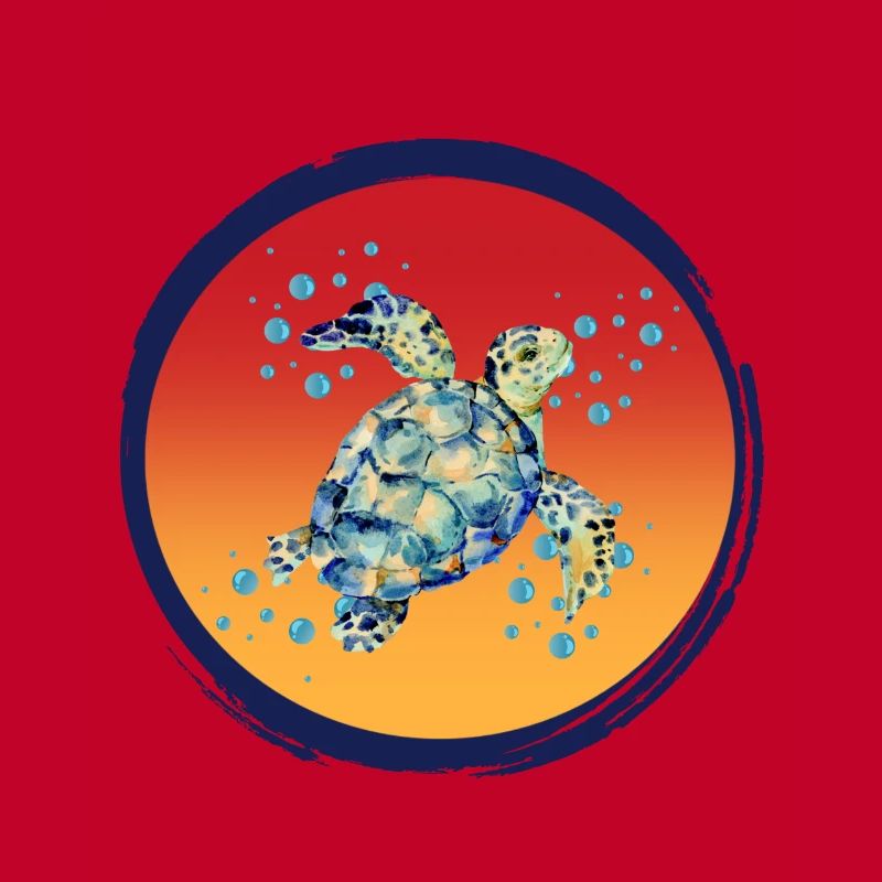 Turtle_Harmony
