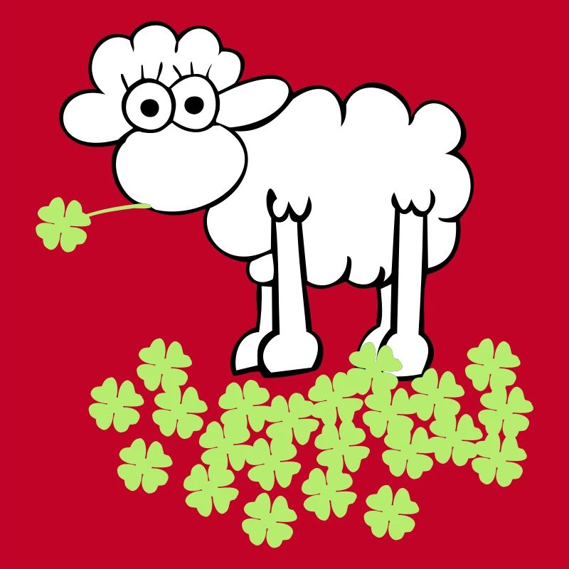 st. Patricks schaf