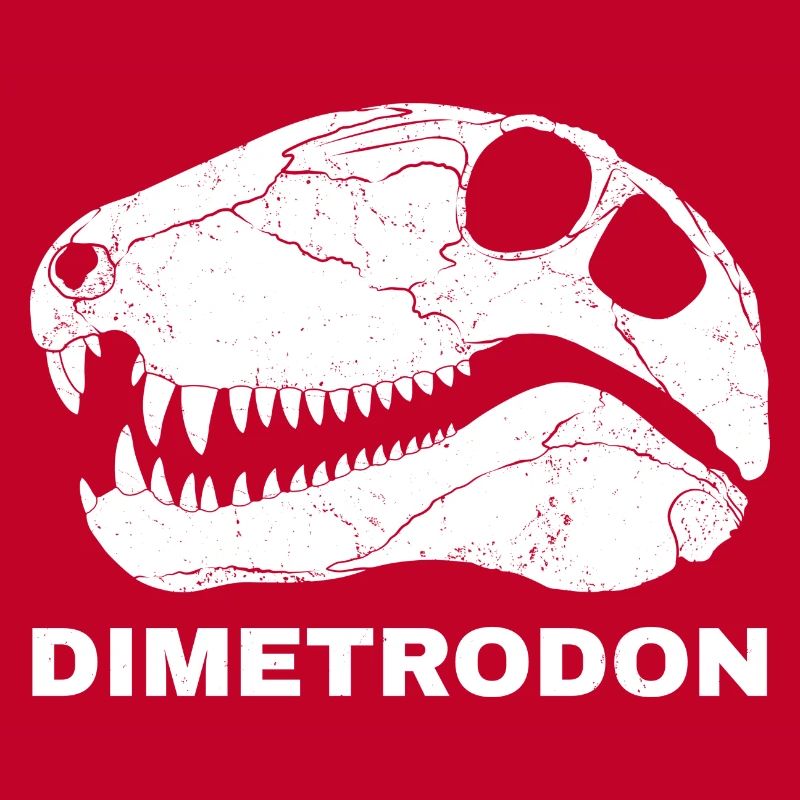 Dimetrodon fossil skull