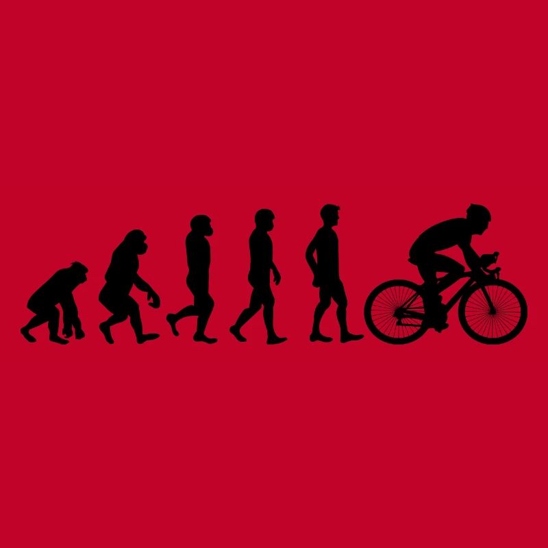 Fahrrad Evolution schwarz
