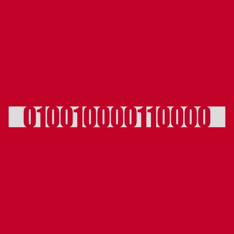 Langage de programme de code binaire