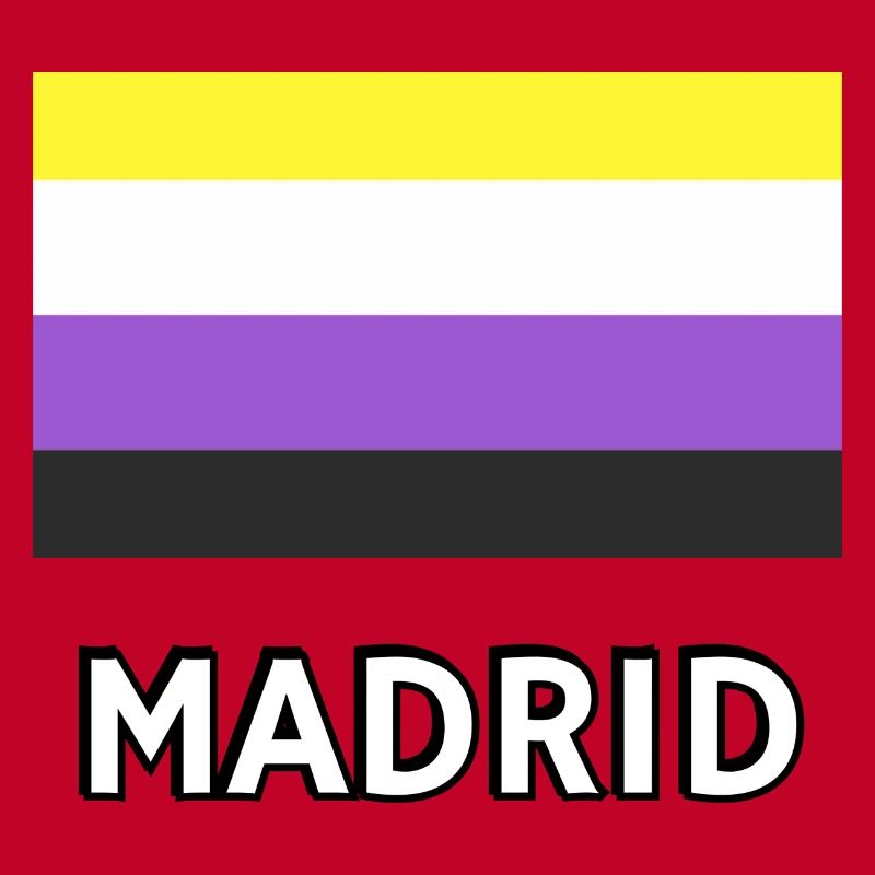 Non binary Pride Flag Madrid