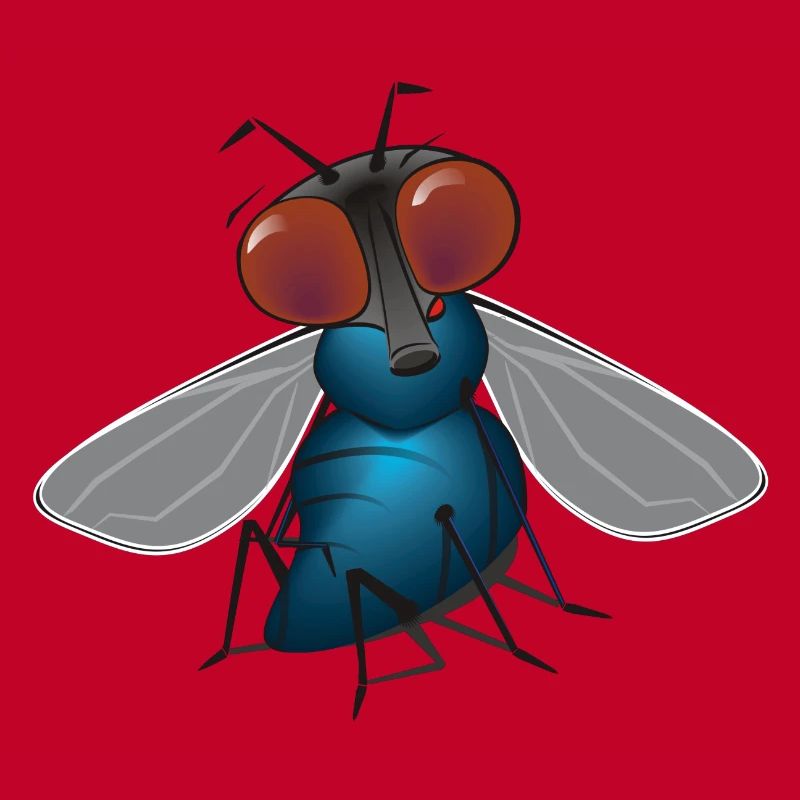 fliege