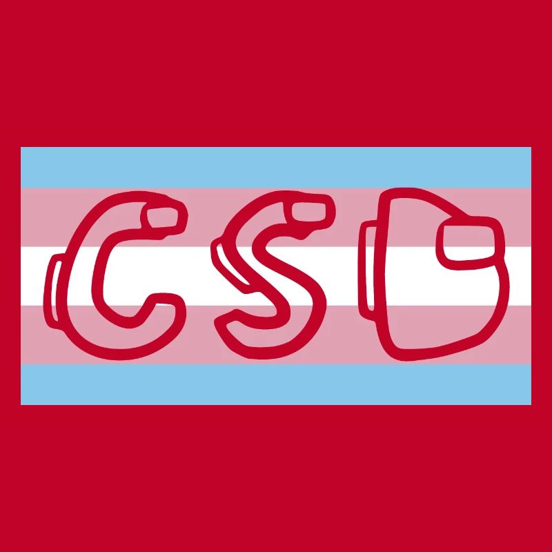 Drapeau de la fierté trans CSD