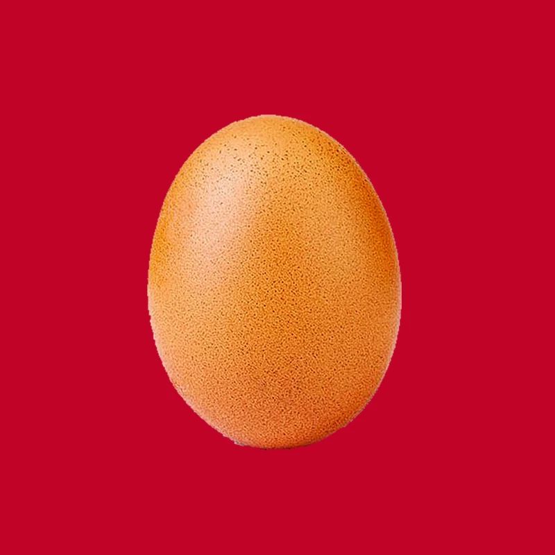 egg