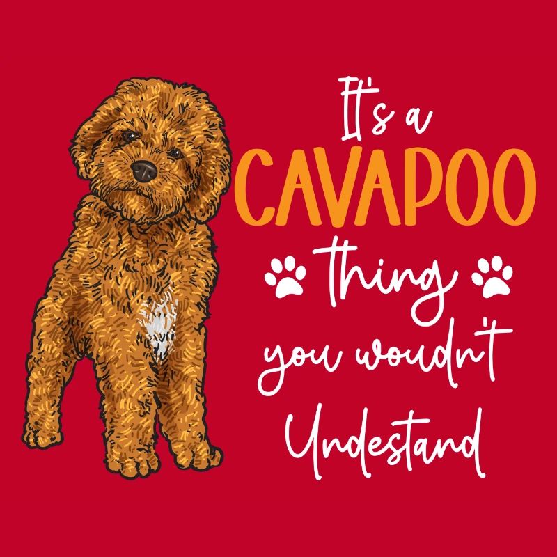 Cavapoo Cavoodle Capoodle Chien