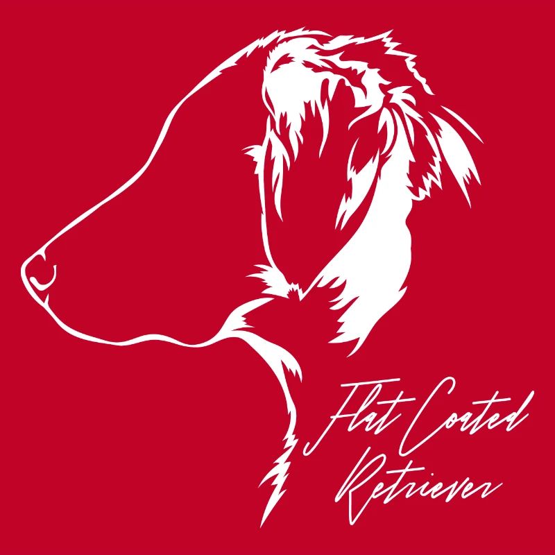 FLAT COATED RETRIEVER Profil Chiens Wilsigns