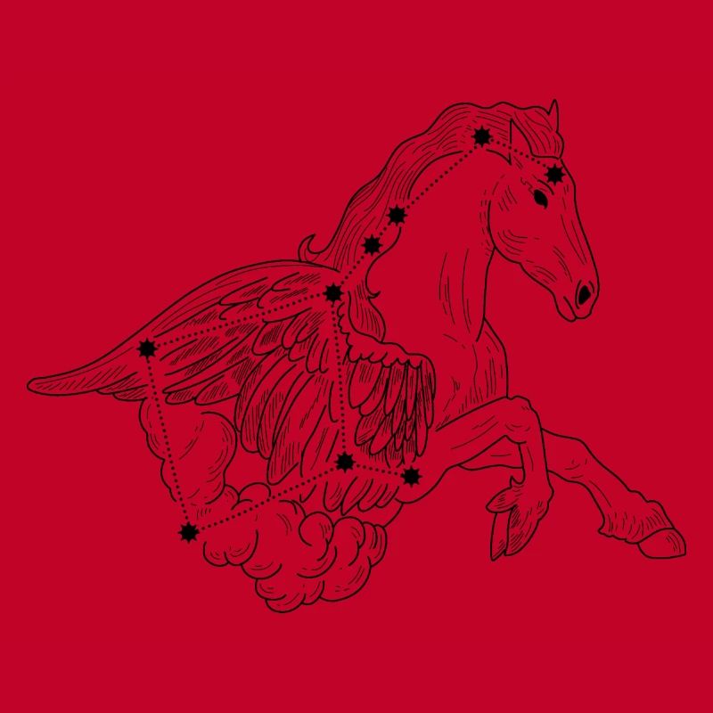 Constellation