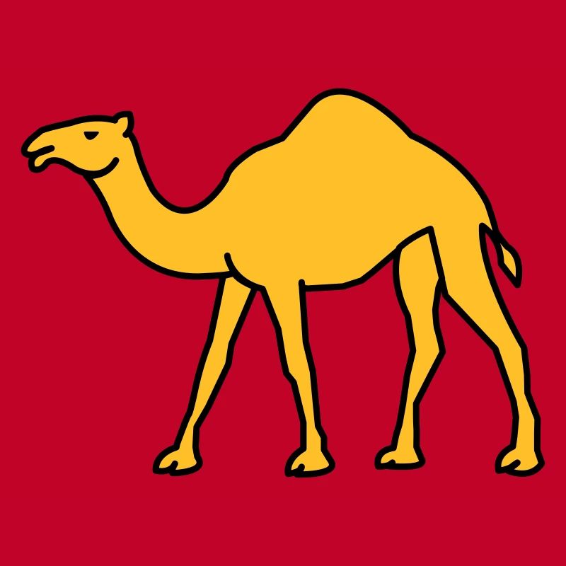 kamel_02