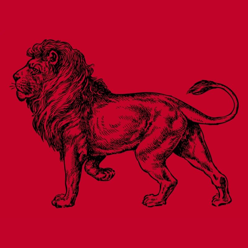 Big noir de lion et withe