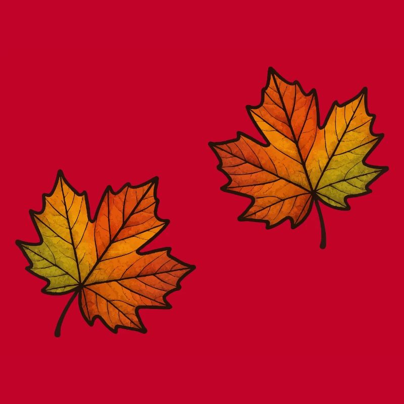 Leaf Autumn Maple Leaf 2
