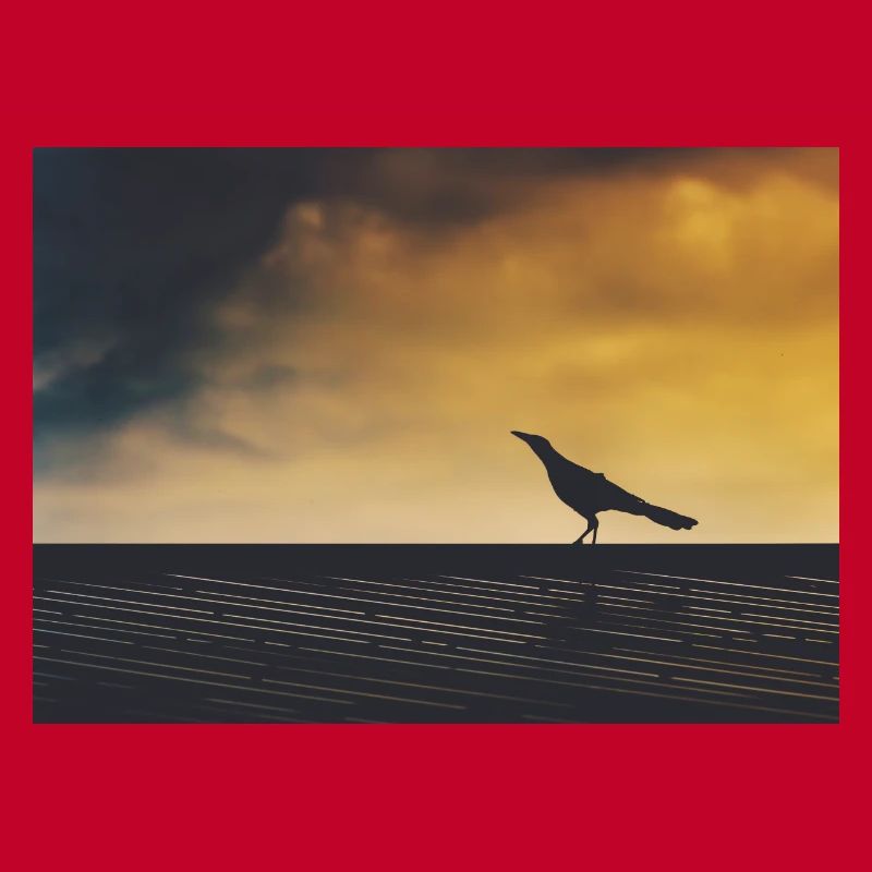 Crow exploring