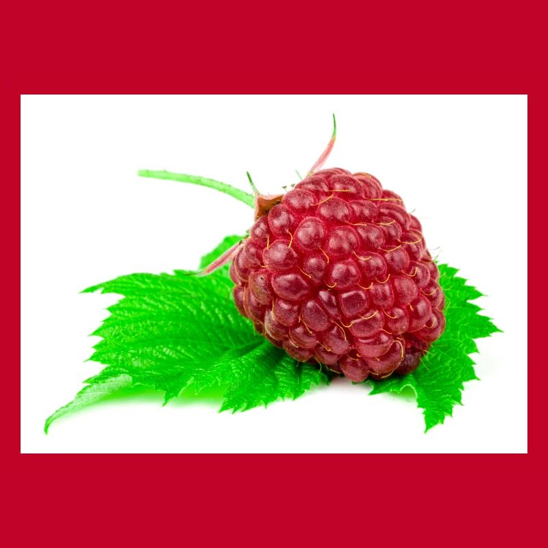 Himbeere. raspberry