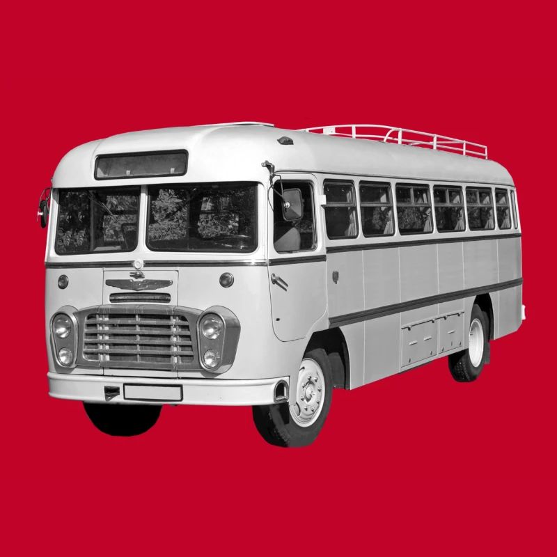 Bus Ikarus 31 Ungarn DDR Ostalgie Oldtimer