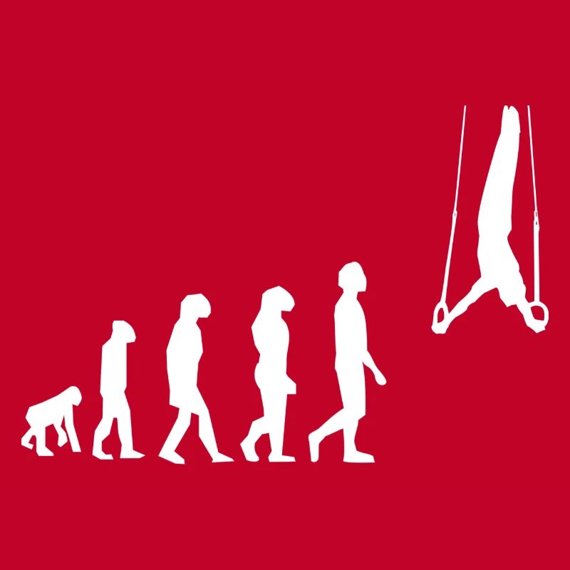 Evolution Gymnastikringe
