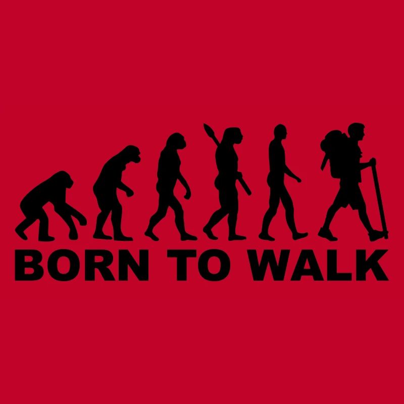 Évolution Cheminement