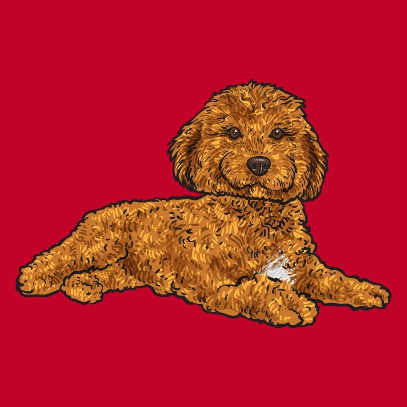 Cavapoo Capoodle Cavoodle Dog Gift