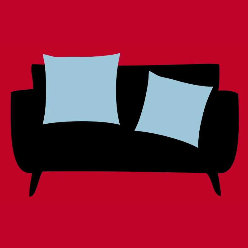 Sleeper sofa & Pillows