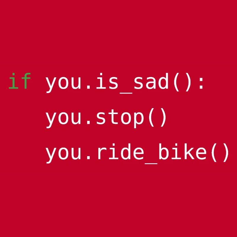 Python code | Fahrrad fahren | Programmierer | Dev