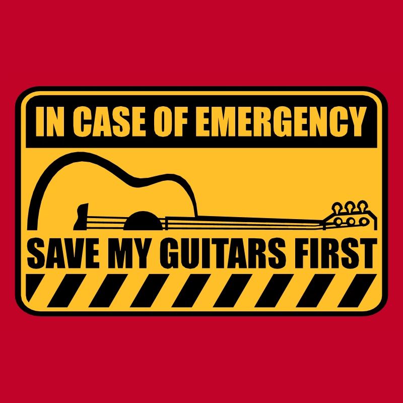 Save My Guitars First