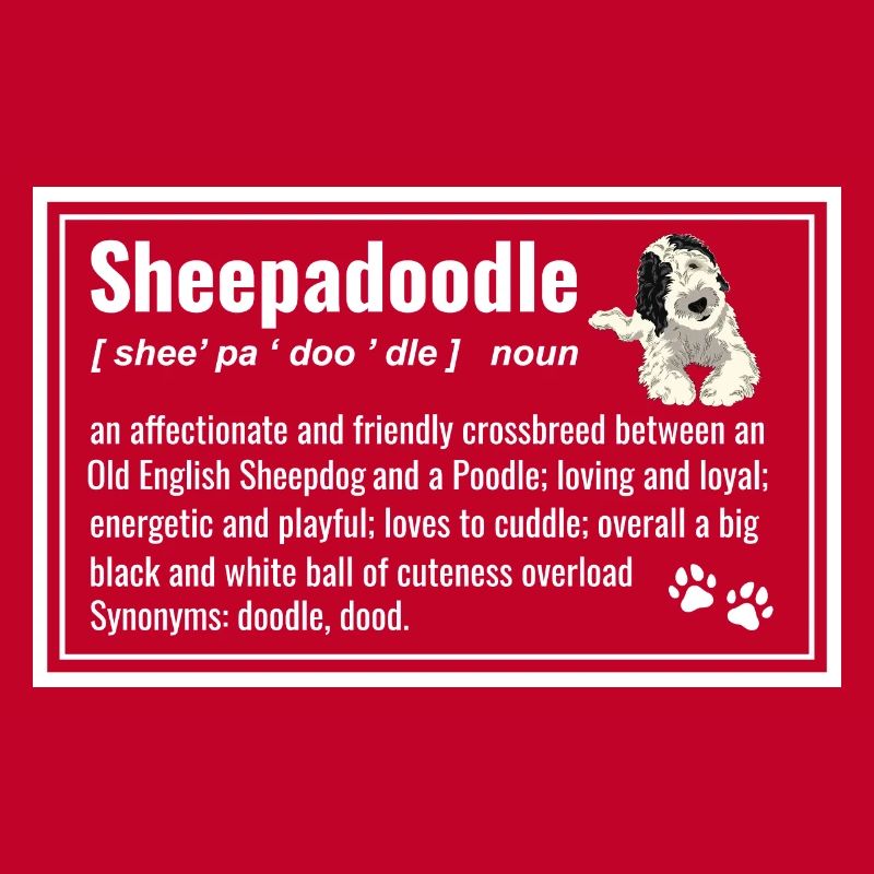 Sheepadoodle Doodle Hund