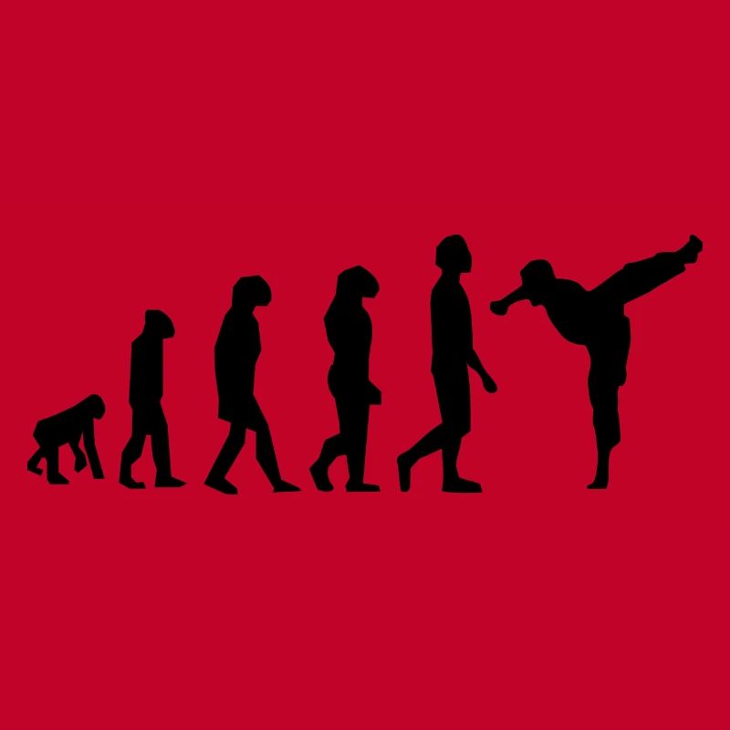 Art martiaux évolution