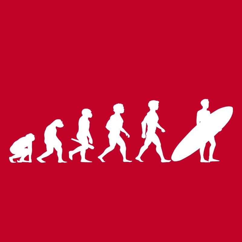 Evolution Surf Surfers surf surf