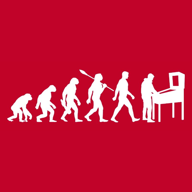 Evolution - Pinball - Flipper - Automat