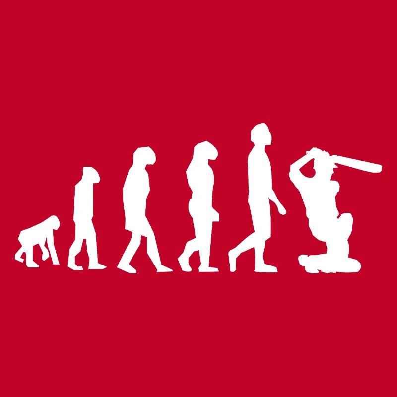 Cricket Évolution