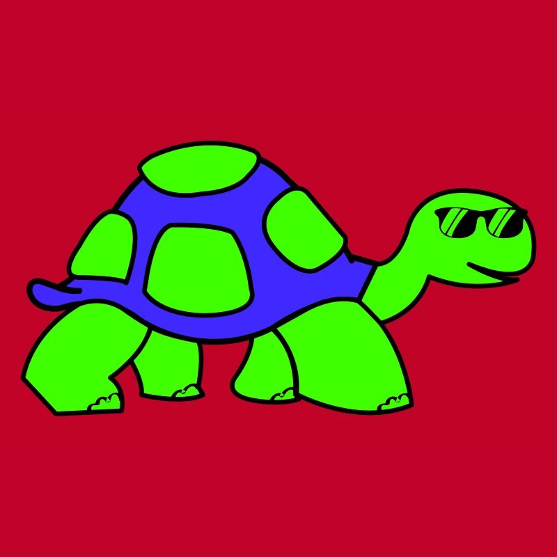 cool turtle