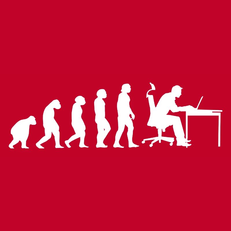 Evolution Of Man Coding Software Developer Program