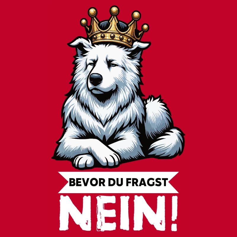 Before you ask: White Shepherd Shepherd
