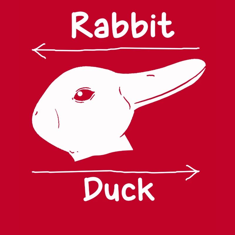Wittgensteins Rabbit Duck Illusion