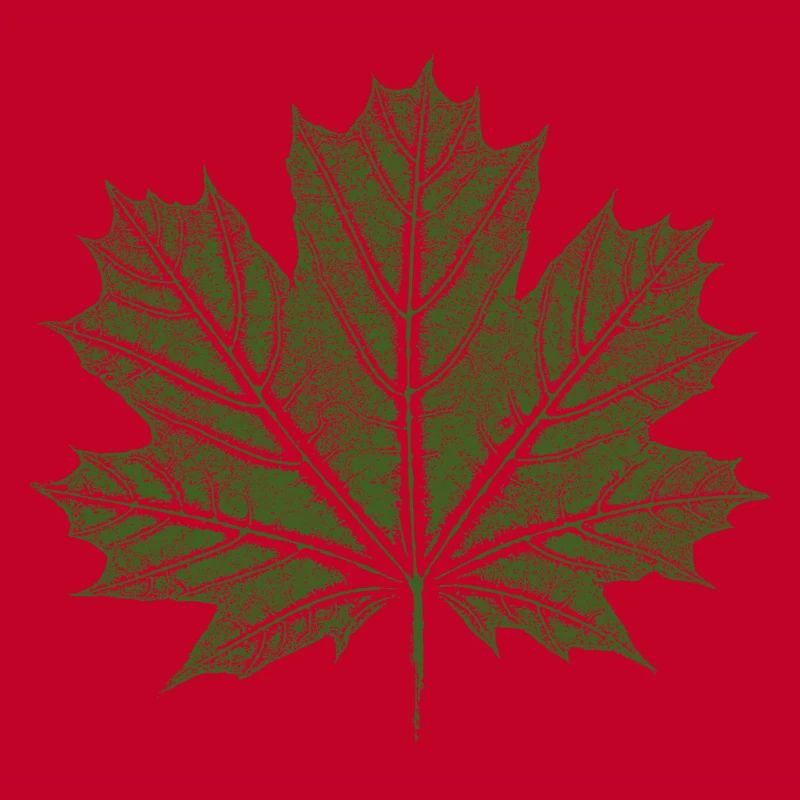 Maple Leaf / Leaf - BOTANICAL Maple