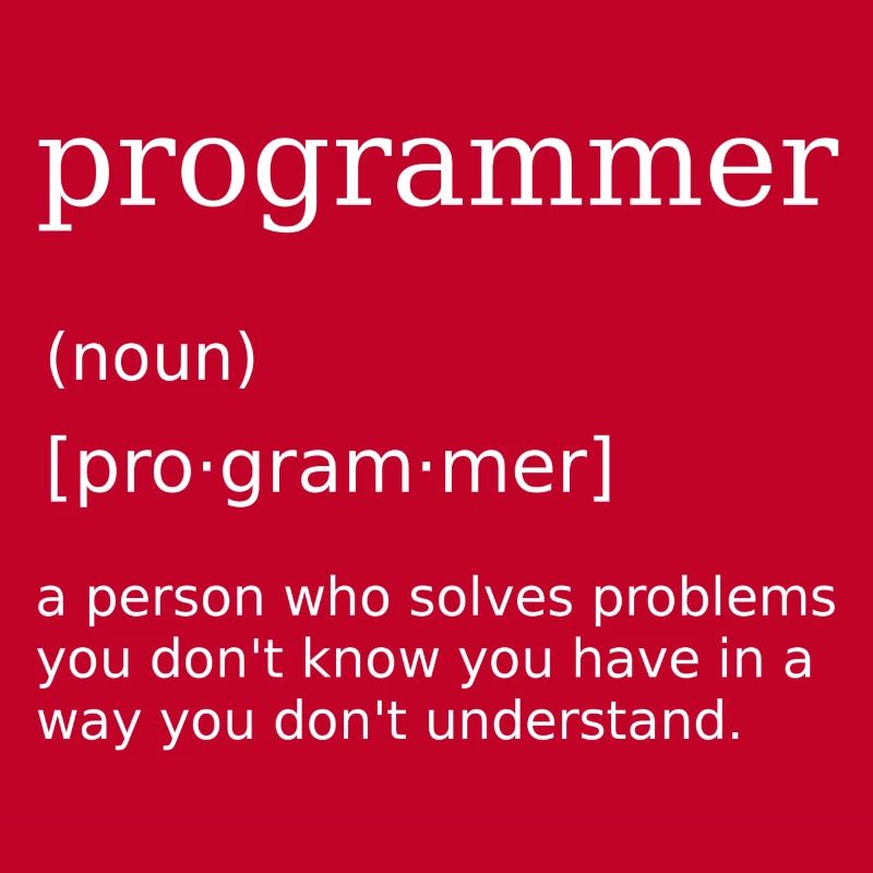 Programmer Spruch Informatiker Computer Scientist