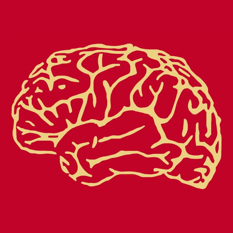 brain