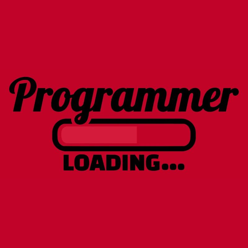 Programmer
