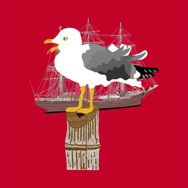 Möwe, Seemöwe, Segelschiff, Segelboot, Seefahrt,