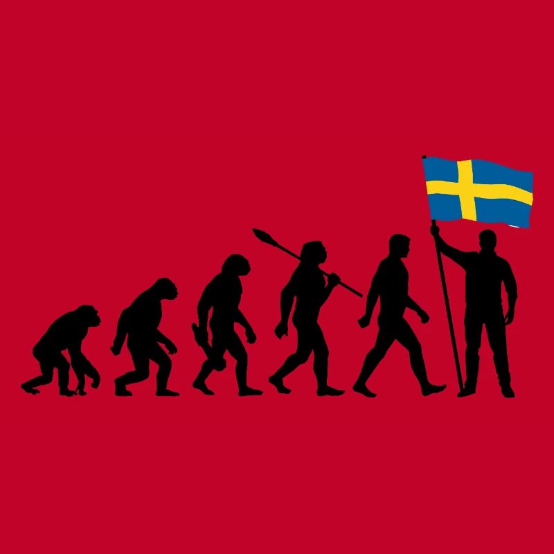 Sweden - Evolution - Flag - Nation