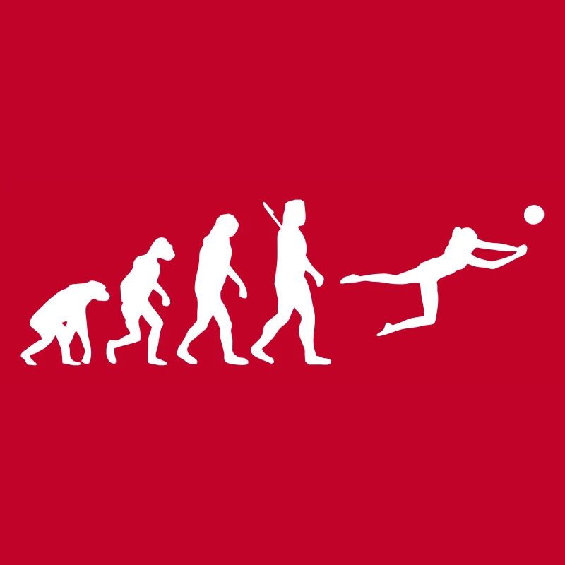 Evolution Beachvolleyball