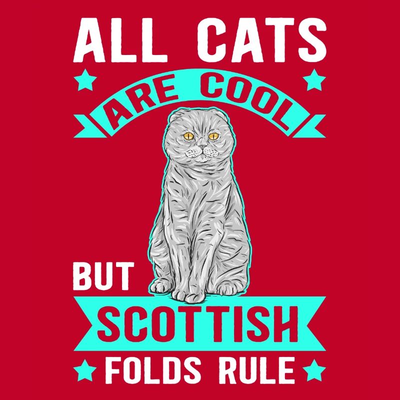 Scottish Folding Ear Cat Cats Gift