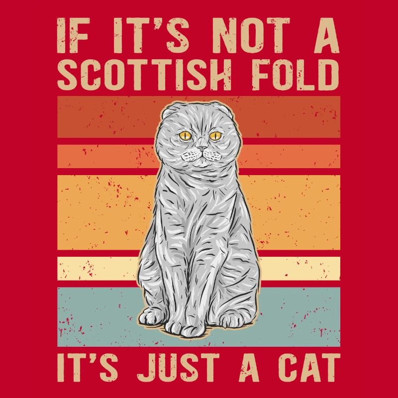 | écossaise pour chat à oreille pliante Cadeau Scottish Fold