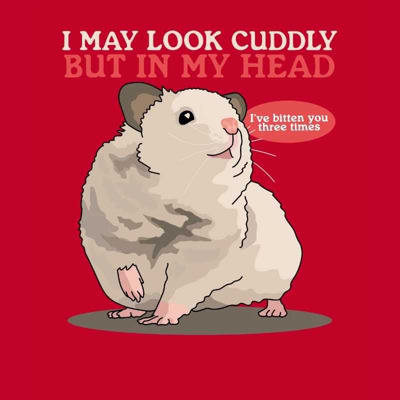 Hamster Golden Hamster Dwarf Hamster Gift